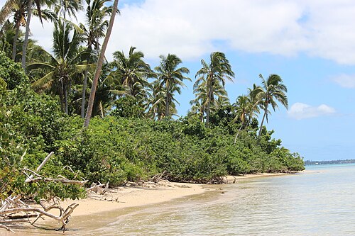 Island day trip