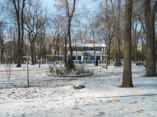 Walk in the city park