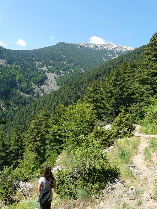 Hike in Pelister National Park