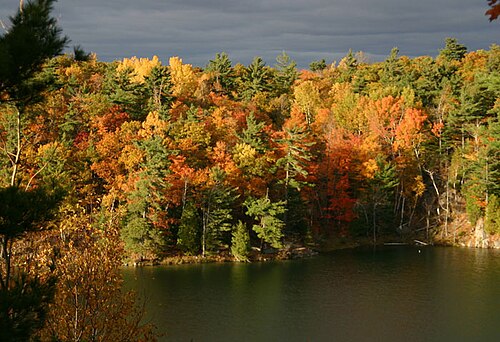 Hike in Gatineau Park
