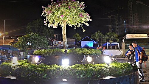 Roxas Night Market
