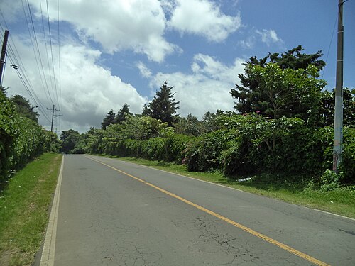 Drive the Ruta de las Flores