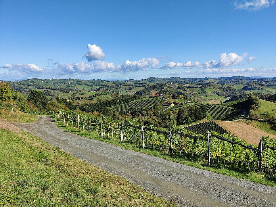 South Styrian Wine Road