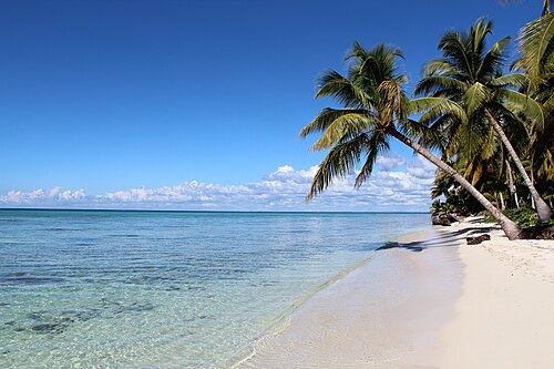 Day trip to Saona Island