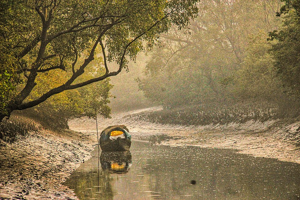 Sundarbans boat trip