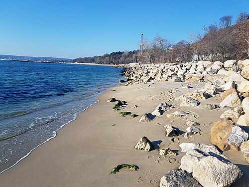 Sea Garden
