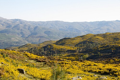 Hike in Peneda-Gerês