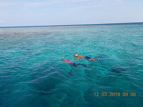 Snorkelling and diving