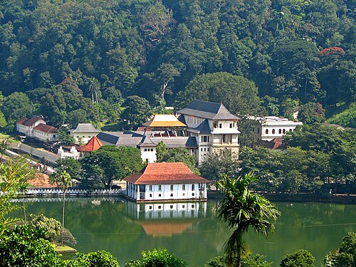 Udawattakele Forest Reserve