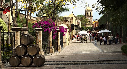 Day trip to Tequila