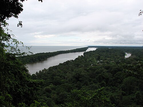 Tortuguero