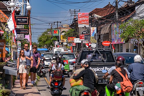 Day trip to Ubud