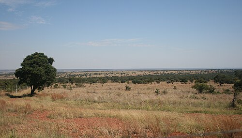 Game drive in Dinokeng