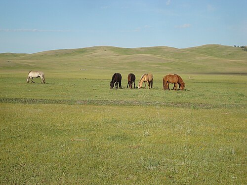 Explore the countryside