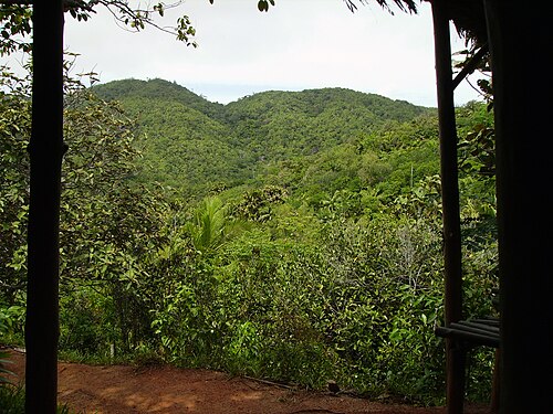 Day trip to Praslin