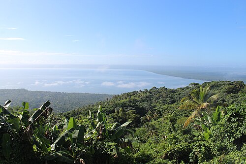 Whale watching in Samaná