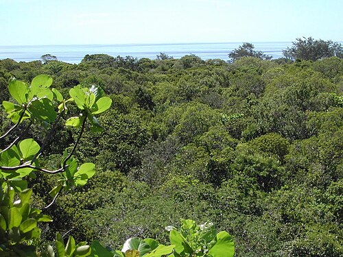Drive to Jaco Island