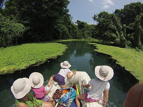 Blue holes