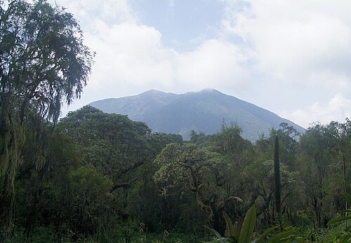 Hike to Dian Fossey's grave
