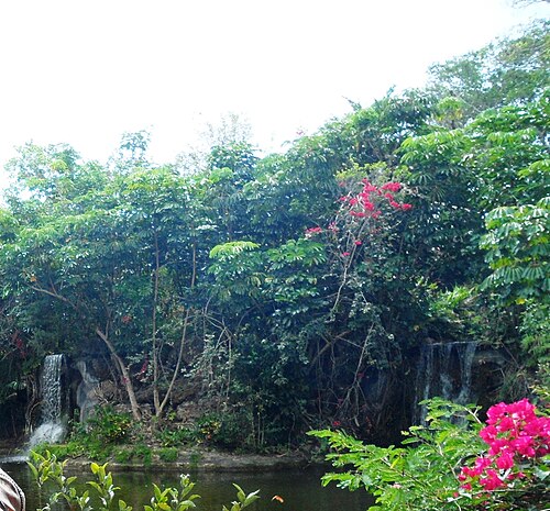 Garden of the Groves