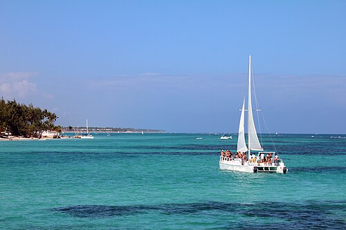 Snorkel the reef
