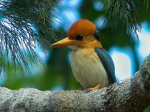Varirata National Park