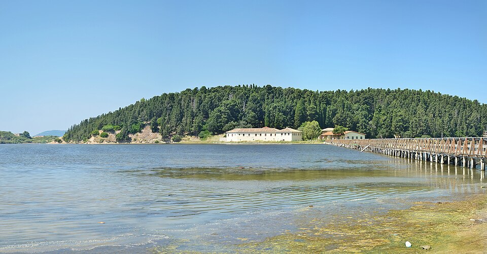 Birdwatching at Narta Lagoon