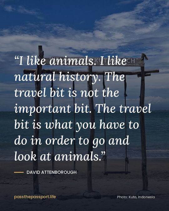 “I like animals. I like natural history. The travel bit is not the important bit. The travel bit is what you have to do in order to go and look at animals.” — David Attenborough