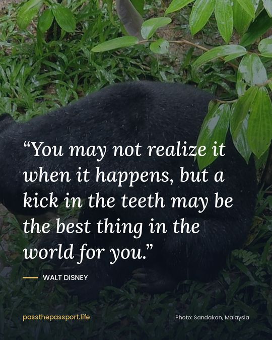 “You may not realize it when it happens, but a kick in the teeth may be the best thing in the world for you.” — Walt Disney