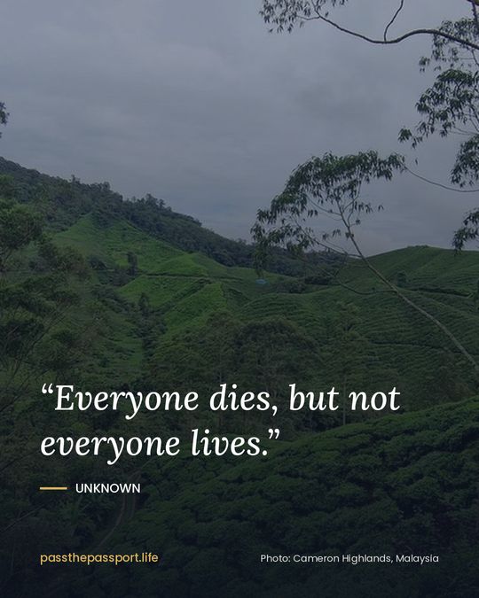 “Everyone dies, but not everyone lives.” — Unknown