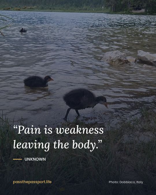 “Pain is weakness leaving the body.” — Unknown
