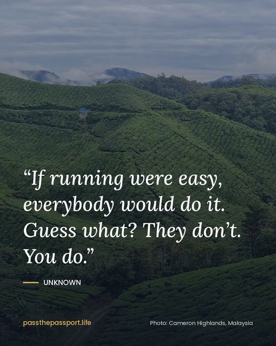 “If running were easy, everybody would do it. Guess what? They don’t. You do.” — Unknown