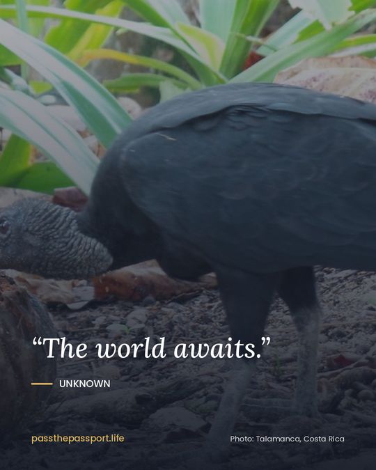 “The world awaits.” — Unknown
