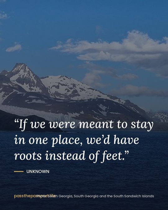 “If we were meant to stay in one place, we’d have roots instead of feet.” — Unknown