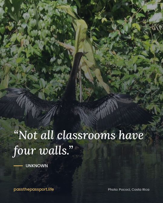 “Not all classrooms have four walls.” — Unknown
