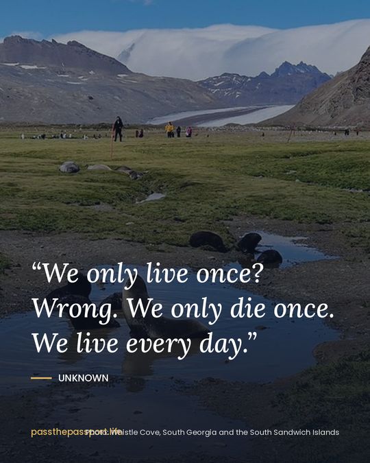 “We only live once? Wrong. We only die once. We live every day.” — Unknown