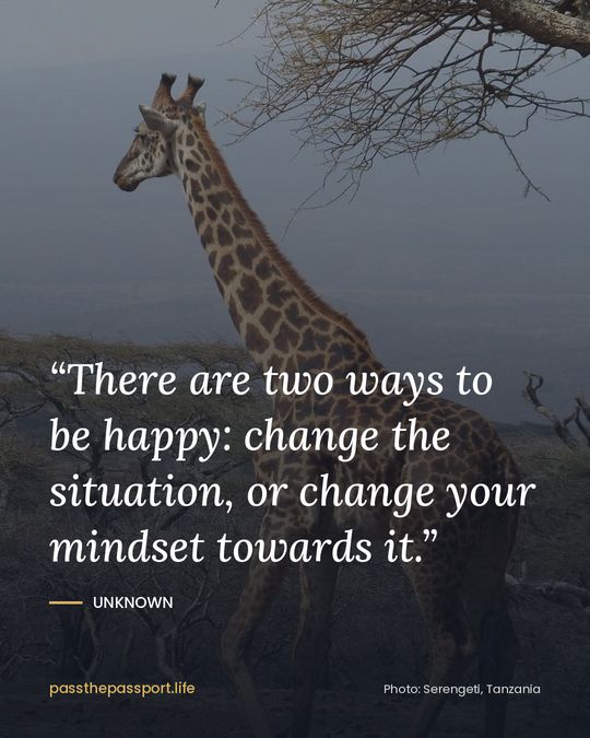 “There are two ways to be happy: change the situation, or change your mindset towards it.” — Unknown