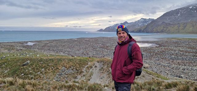 A man standing on a grassy slope above a vast penguin colony stretching to the sea.