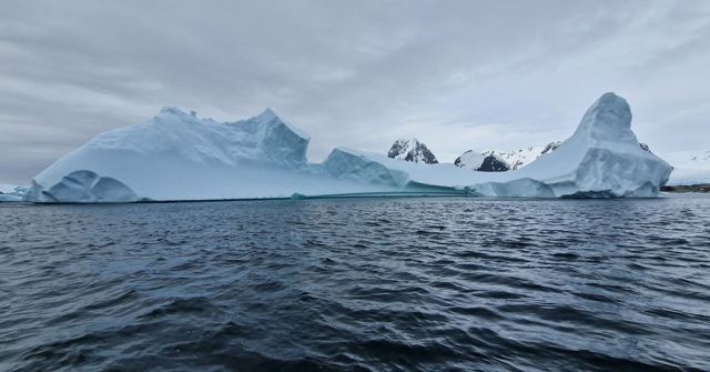 Several large sculpted icebergs floating on a dark grey sea.