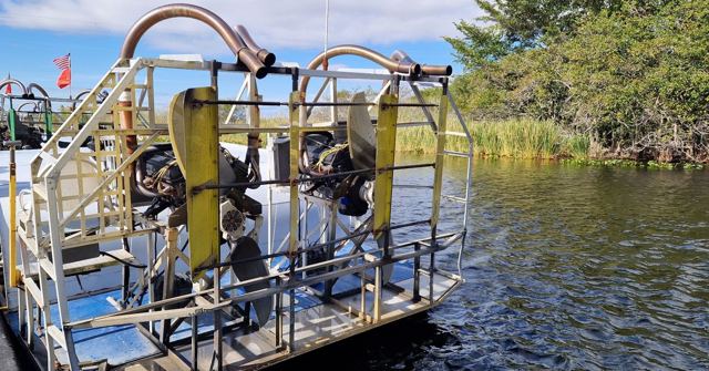 An airboat with large caged fans moored at a reedy waterway.