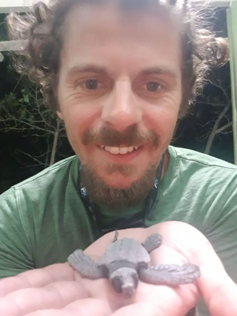 A smiling bearded man holding a tiny baby sea turtle in his hand.