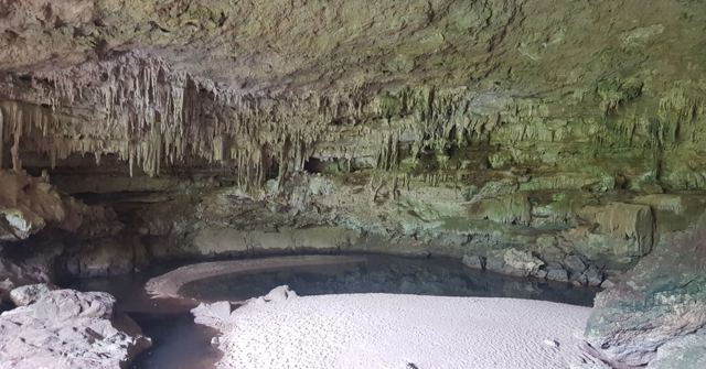 Inside a large cave with stalactites hanging above a pale rocky floor.