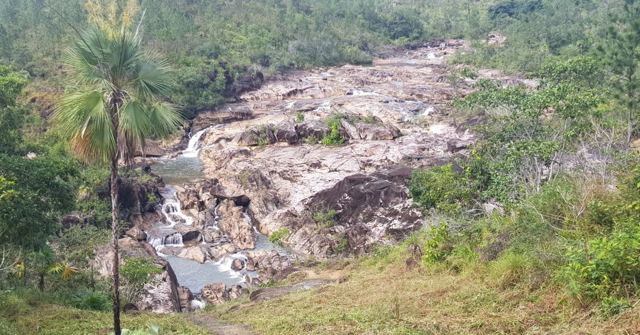 A rocky river of pink granite boulders winding through green forest.
