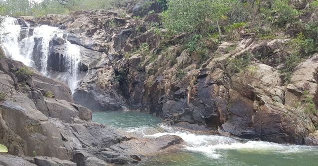 A waterfall cascading over grey rocks into a green pool surrounded by trees.