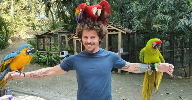 A smiling man with outstretched arms holding several colourful macaws, one perched on his head.