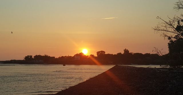An orange sun setting behind a line of trees over calm water.