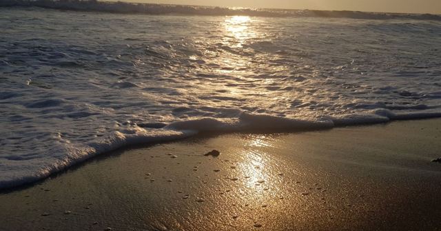 Waves washing onto wet sand reflecting golden evening sunlight.