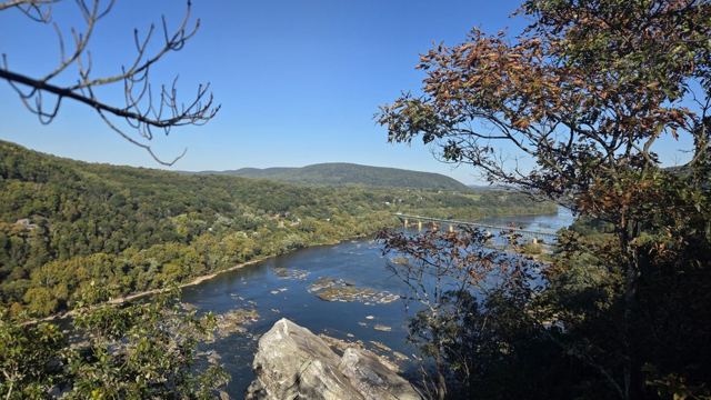A wide rocky river valley seen from a forested viewpoint with early autumn colours.