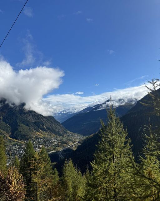 Mountain valley with pine trees in the foreground and snow-capped peaks under clouds.