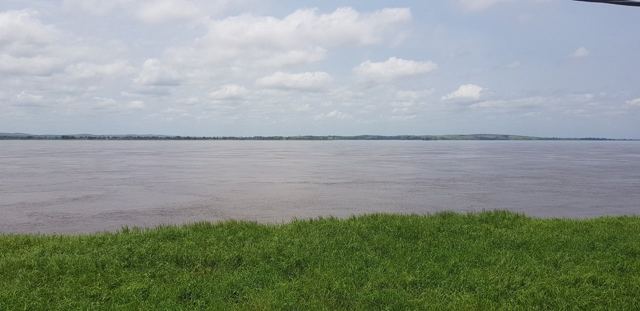 The wide Congo River at Boma, edged with green grass.
